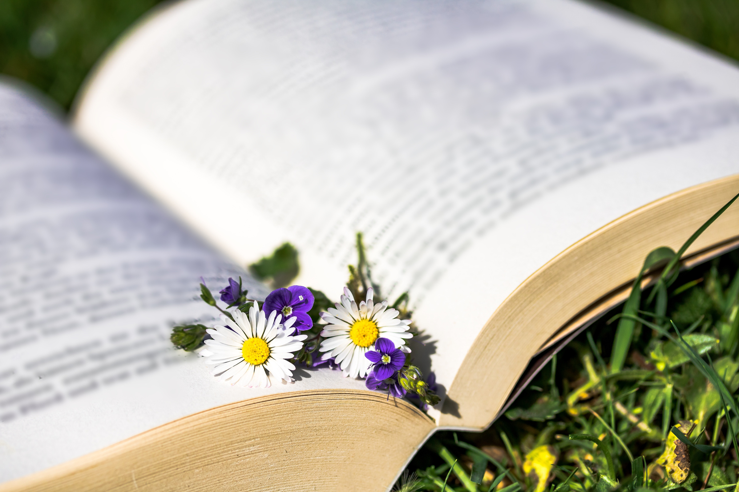 Flowers on a Book